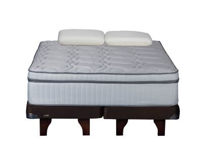 Cama Europea Flex Chocolate King más Máximo King y 2 Almohadas Viscolastica $449.990