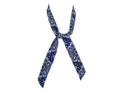 Pañuelo/Corbatin refrescante Misty Mate Azul $2.120